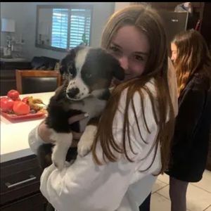 Meet your Posher, Vi